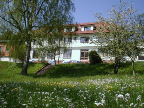 Гостиница Hotel Grünwald  Ансбах